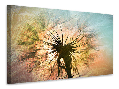 modern-3-piece-canvas-print-xxl-dandelion