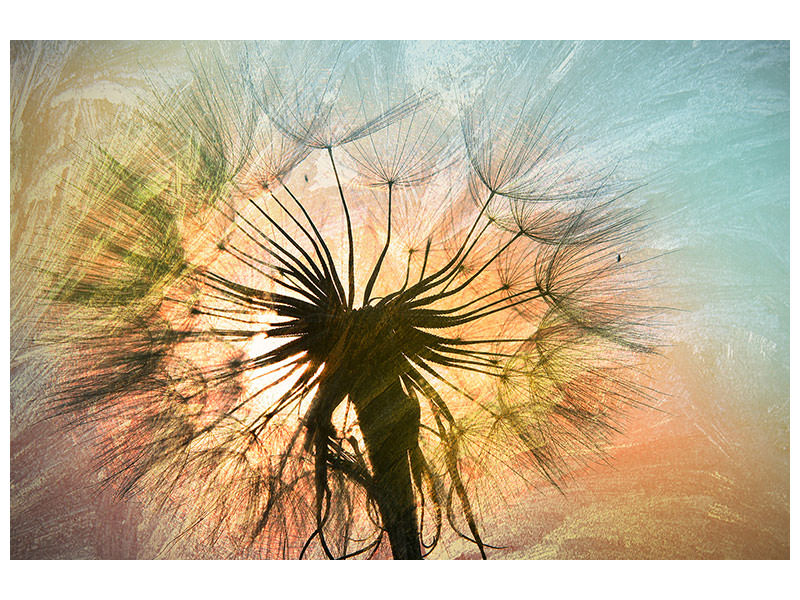 5-piece-canvas-print-xxl-dandelion