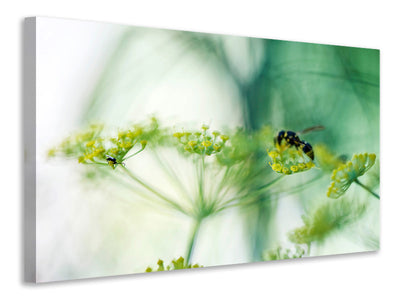 3-piece-canvas-print-xxl-parsnip
