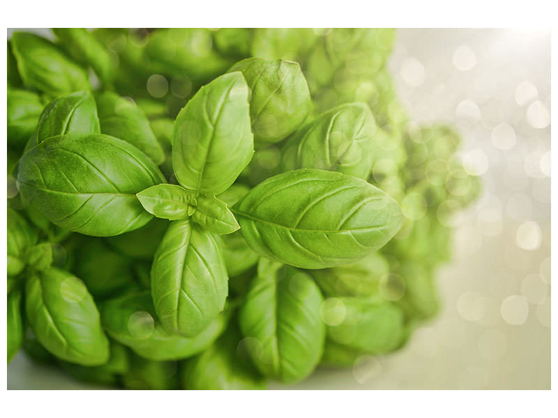 3-piece-canvas-print-a-bouquet-of-basil