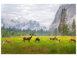 3-piece-canvas-print-a-feeling-of-ancient-time