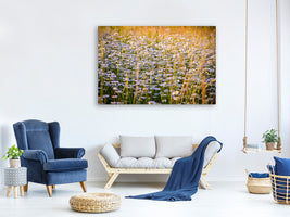 3-piece-canvas-print-a-field-full-of-camomile
