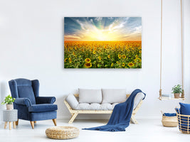 panoramic-3-piece-canvas-print-a-field-full-of-sunflowers