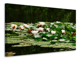 3-piece-canvas-print-a-field-full-of-water-lilies
