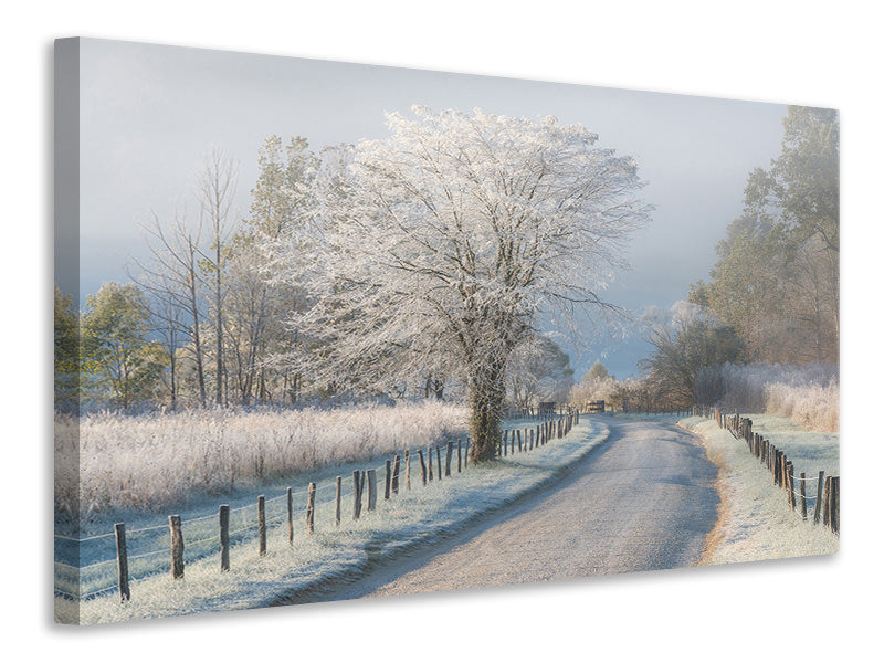 5-piece-canvas-print-a-frosty-morning
