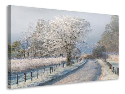 modern-4-piece-canvas-print-a-frosty-morning