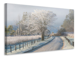 modern-3-piece-canvas-print-a-frosty-morning