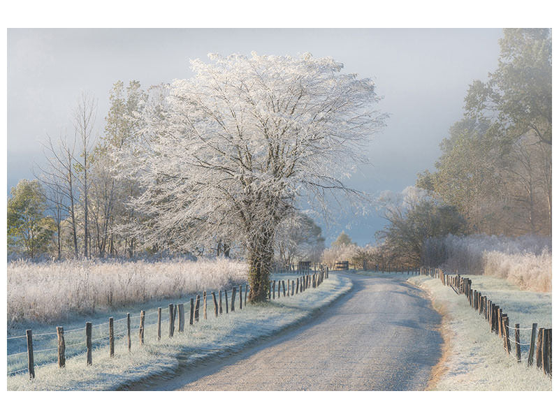 modern-3-piece-canvas-print-a-frosty-morning