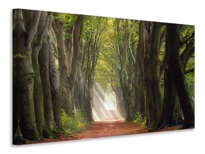 5-piece-canvas-print-a-glorious-day