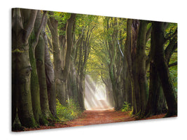 4-piece-canvas-print-a-glorious-day