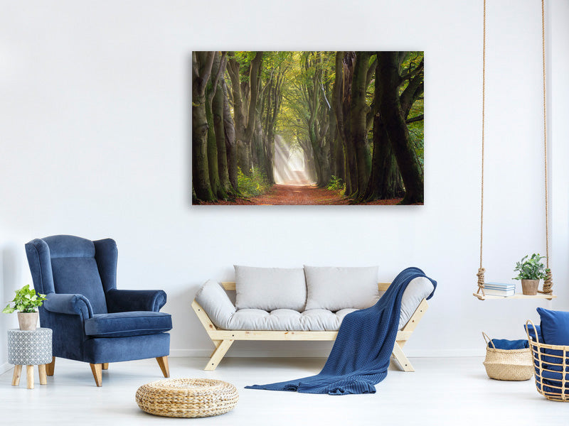 modern-4-piece-canvas-print-a-glorious-day