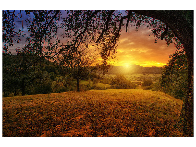 5-piece-canvas-print-a-landscape-in-the-sunset