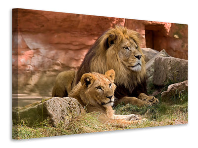 3-piece-canvas-print-a-lion-couple