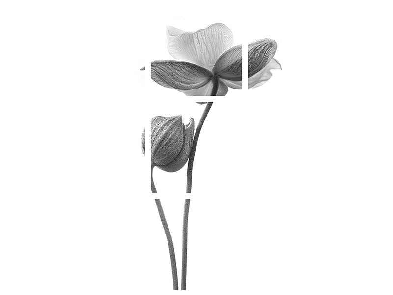 4-piece-canvas-print-a-little-touch-monochrome