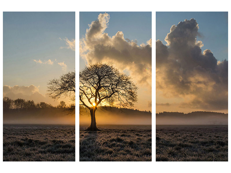 panoramic-3-piece-canvas-print-a-lonely-tree