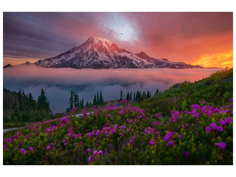 5-piece-canvas-print-a-moment-in-time