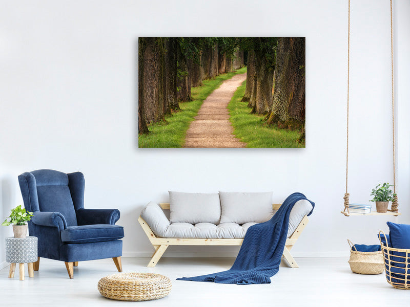 panoramic-3-piece-canvas-print-a-path-in-the-forest