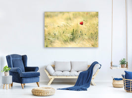 modern-4-piece-canvas-print-a-poppy