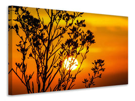 5-piece-canvas-print-a-shrub-in-the-sunset