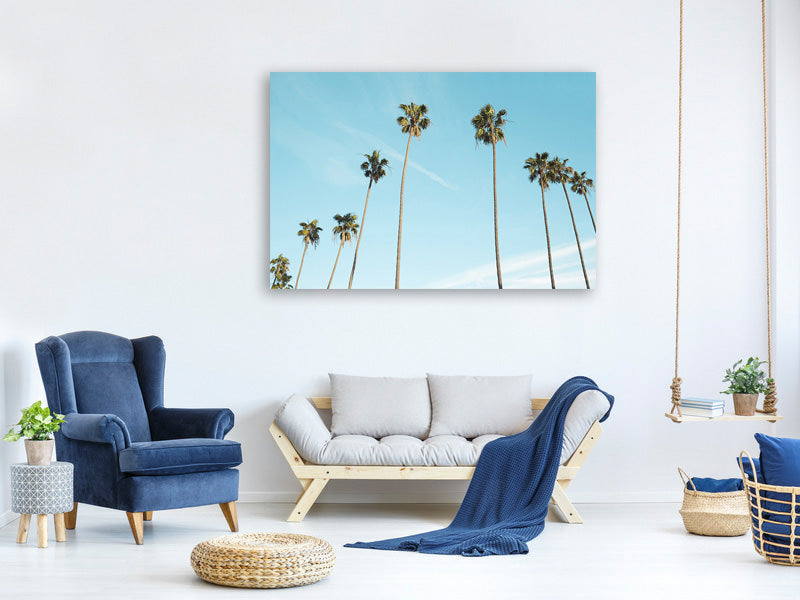3-piece-canvas-print-a-sky-full-of-palm-trees