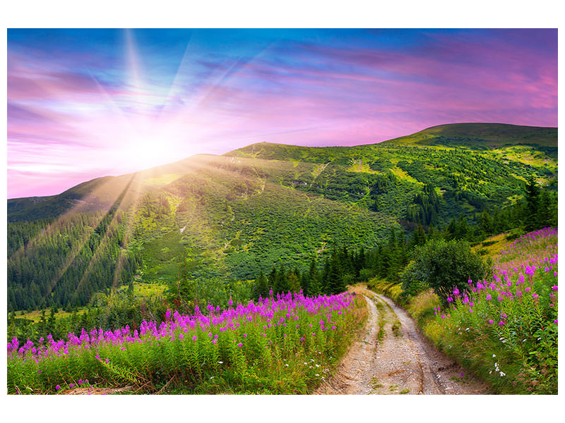 panoramic-3-piece-canvas-print-a-summer-landscape-at-sunrise