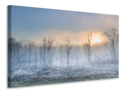 modern-4-piece-canvas-print-a-touch-of-winter