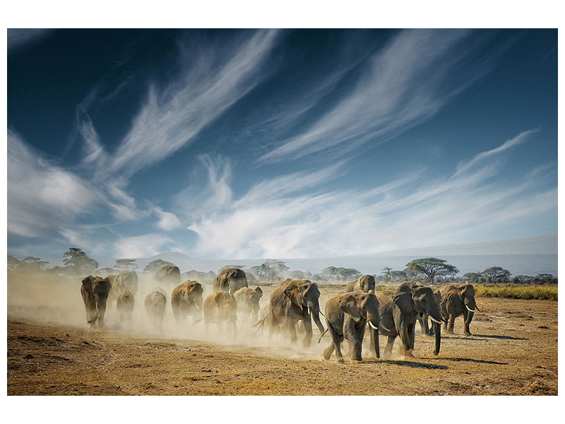 5-piece-canvas-print-a-very-long-thinking