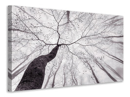 modern-3-piece-canvas-print-a-view-of-the-tree-crown
