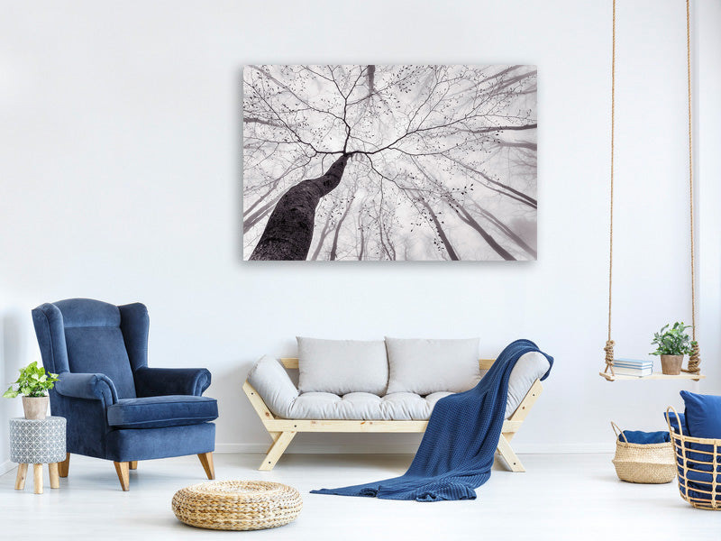 modern-3-piece-canvas-print-a-view-of-the-tree-crown