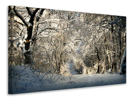 modern-4-piece-canvas-print-a-winter-dream