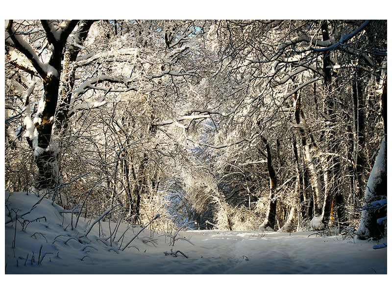 modern-3-piece-canvas-print-a-winter-dream