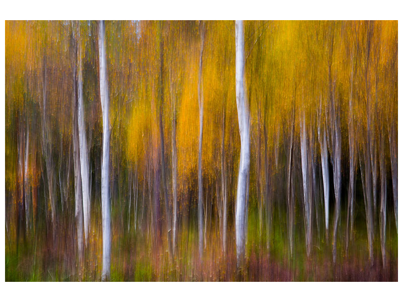 modern-3-piece-canvas-print-abstract-fall