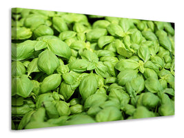4-piece-canvas-print-all-basil