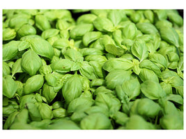modern-3-piece-canvas-print-all-basil