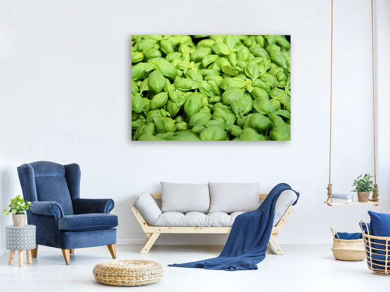 modern-3-piece-canvas-print-all-basil