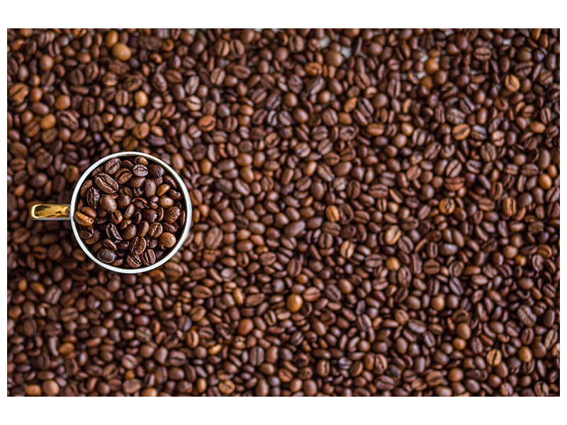 panoramic-3-piece-canvas-print-all-coffee-beans