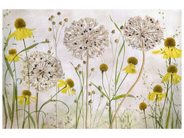 5-piece-canvas-print-alliums-and-heleniums
