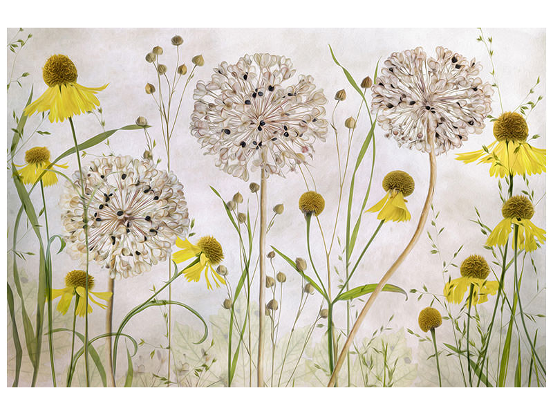 5-piece-canvas-print-alliums-and-heleniums