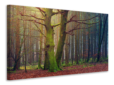 modern-3-piece-canvas-print-alone-in-the-woods