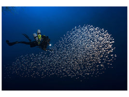 modern-3-piece-canvas-print-alvin-shoal