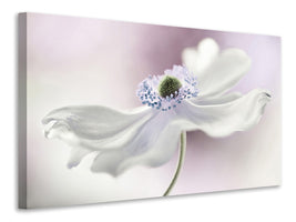 modern-3-piece-canvas-print-anemone-breeze