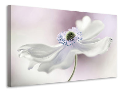 modern-3-piece-canvas-print-anemone-breeze