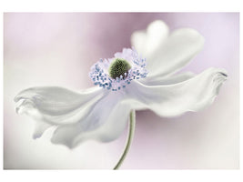 modern-3-piece-canvas-print-anemone-breeze