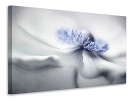 panoramic-3-piece-canvas-print-anemone-spirit