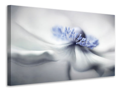 5-piece-canvas-print-anemone-spirit