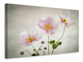 modern-3-piece-canvas-print-anemones-ii