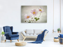 5-piece-canvas-print-anemones-ii