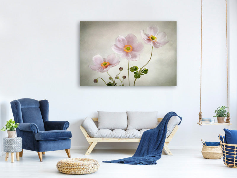 5-piece-canvas-print-anemones-ii