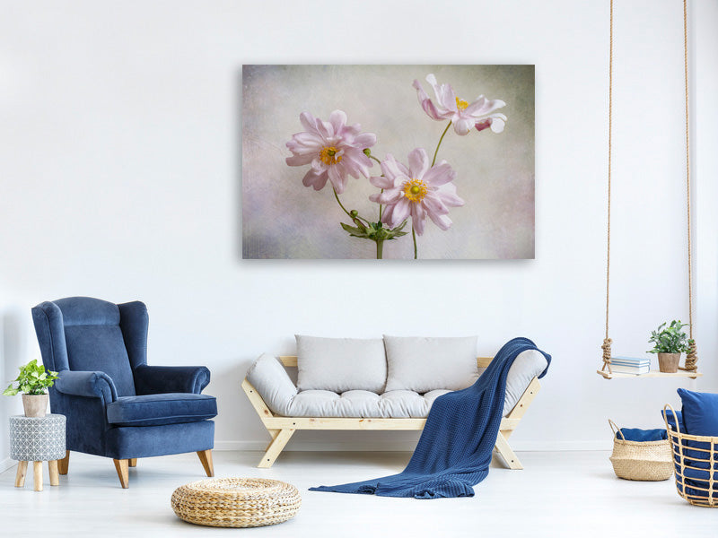 5-piece-canvas-print-anemones