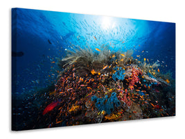 4-piece-canvas-print-apnea